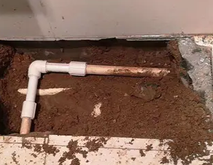 丰宁测漏水哪家好