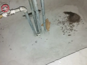 丰宁卫生间测漏水价格明细